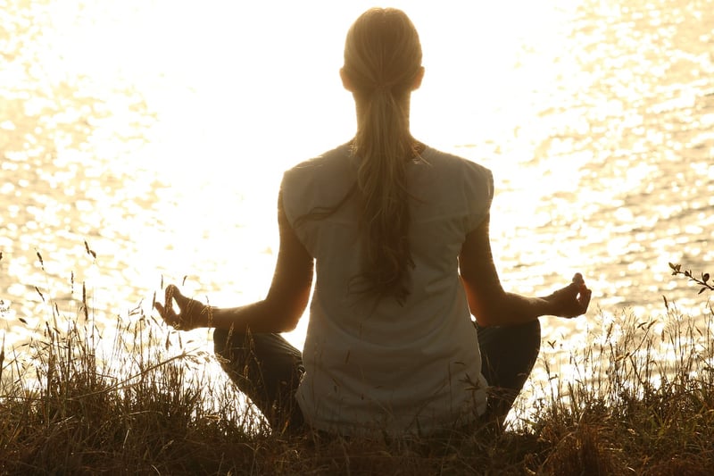 Meditation Camp
